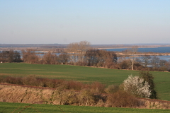 Killikus&reg; Fotographie